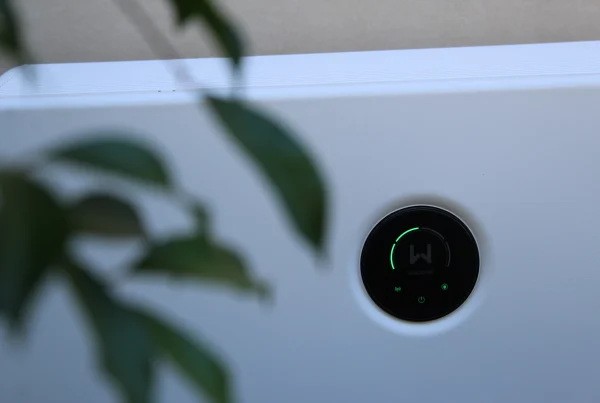 The Goodwe ESA - What we know so far