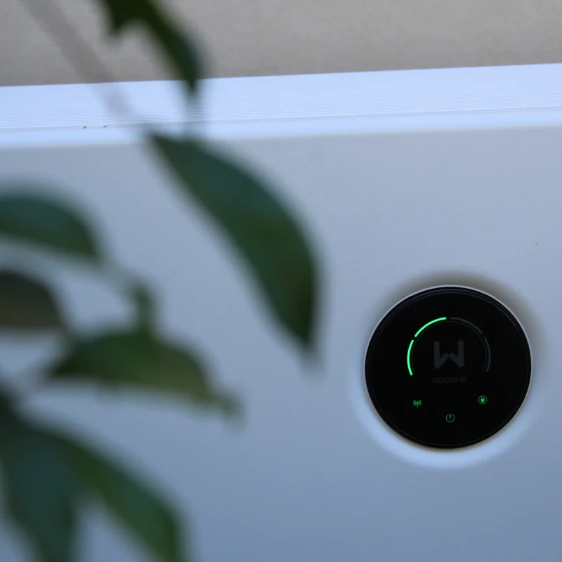 The Goodwe ESA - What we know so far